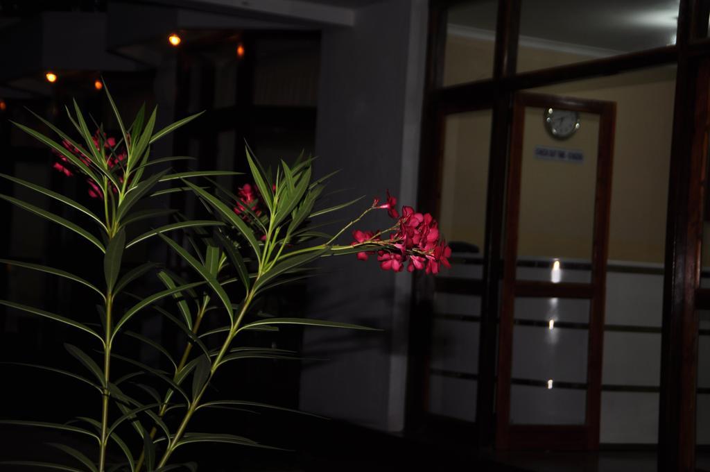 Melbourne Tourist Rest Hotel อนุราธปุระ ภายนอก รูปภาพ
